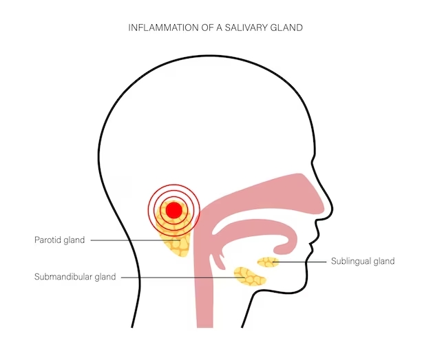 Vector salivary gland concept