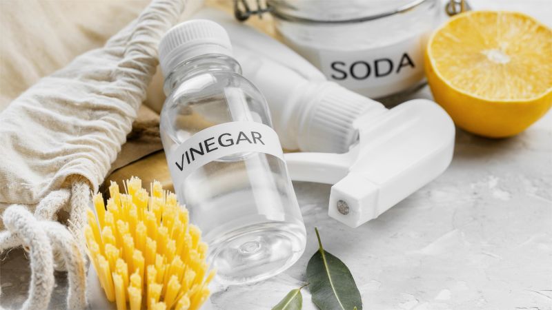 cleaning brushes with vinegar and lemon